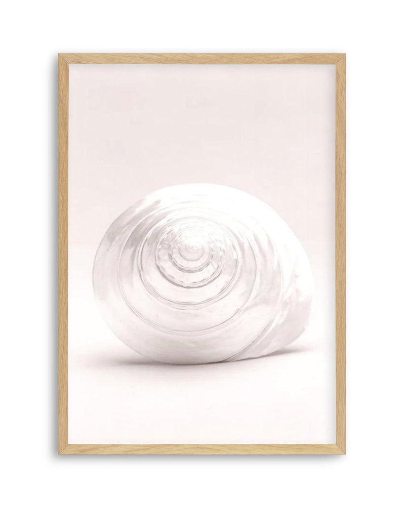 Shell I Art Print