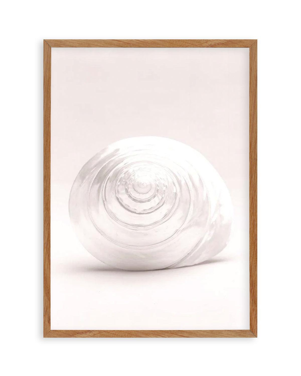 Shell I Art Print