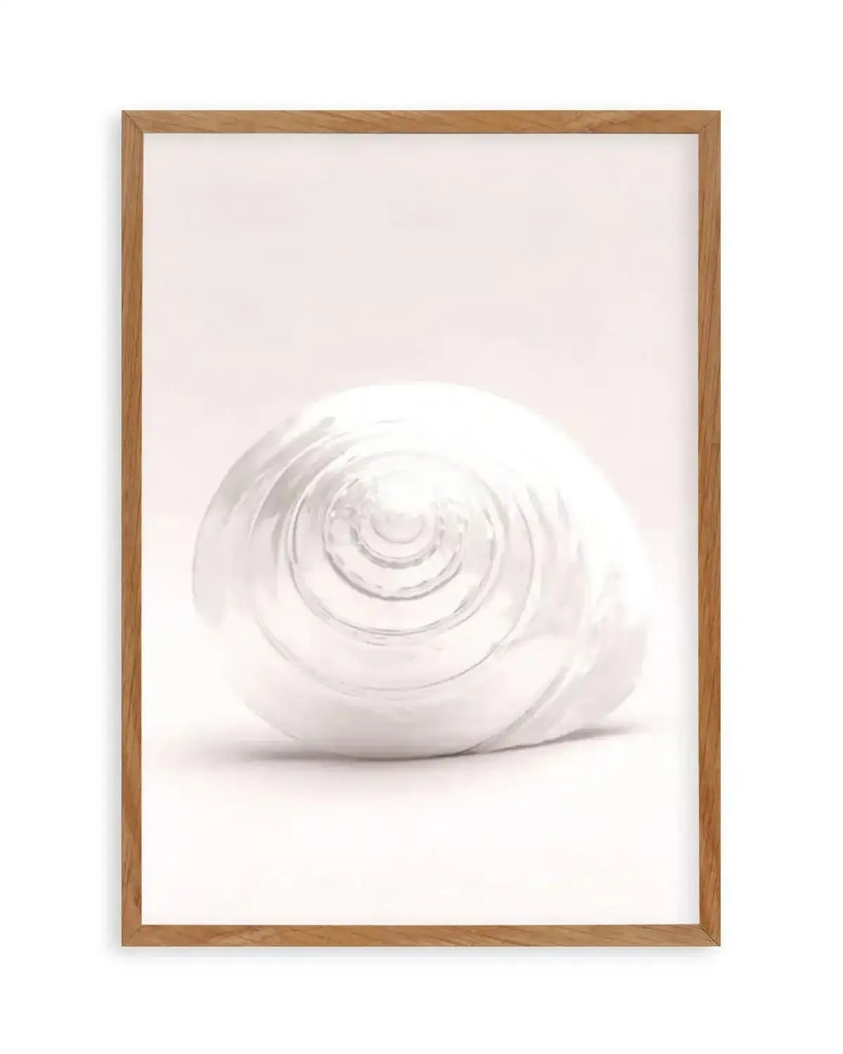 Shell I Art Print from Olive et Oriel where you can shop wallpaper and artworks online