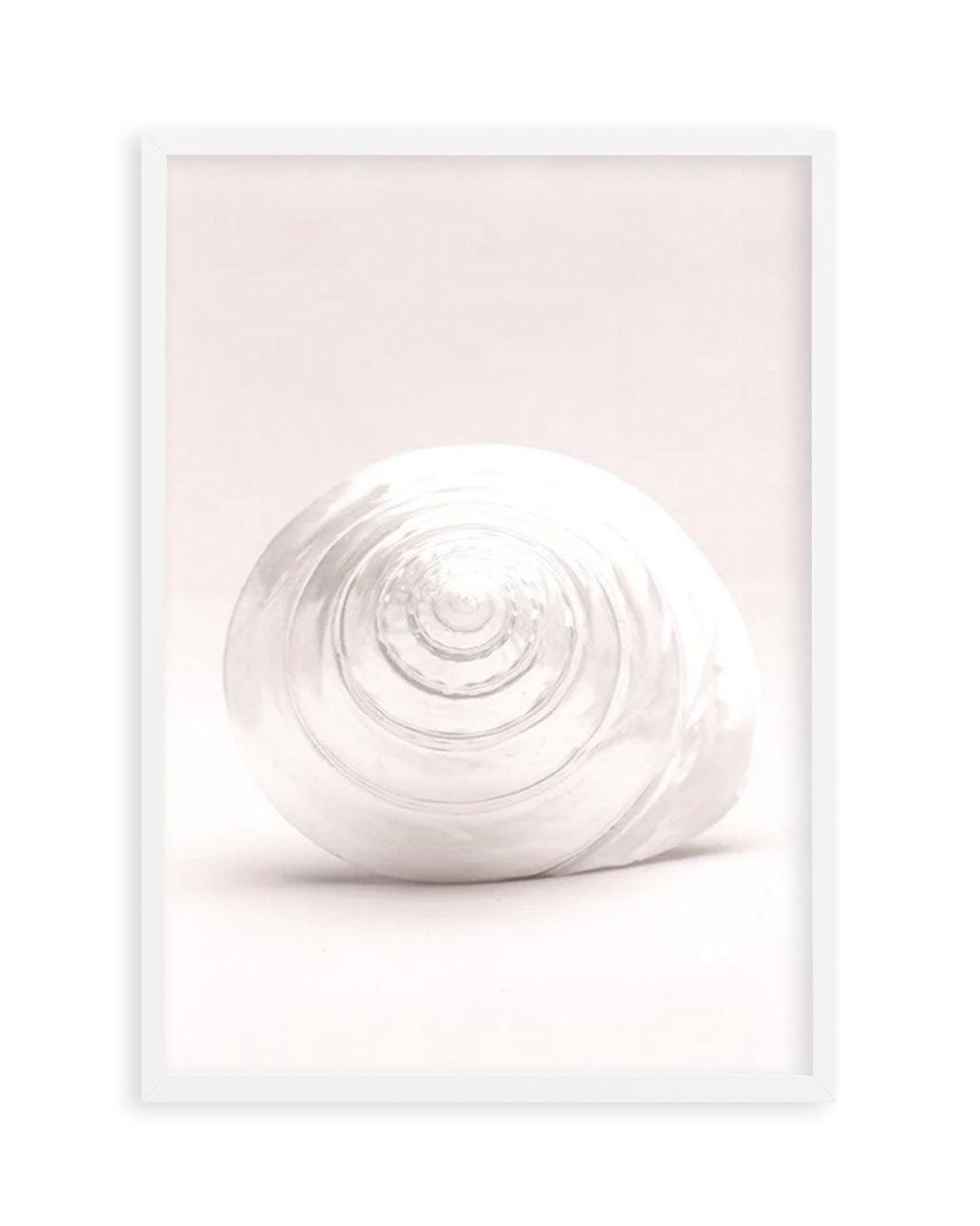 Shell I Art Print