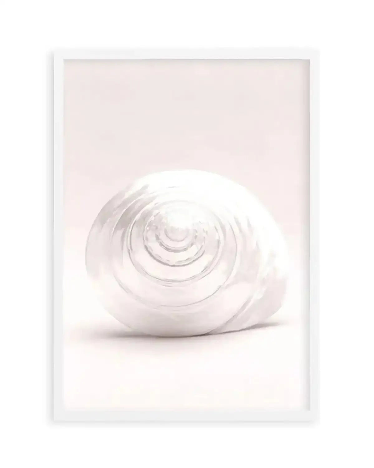Shell I Art Print from Olive et Oriel where you can shop wallpaper and artworks online