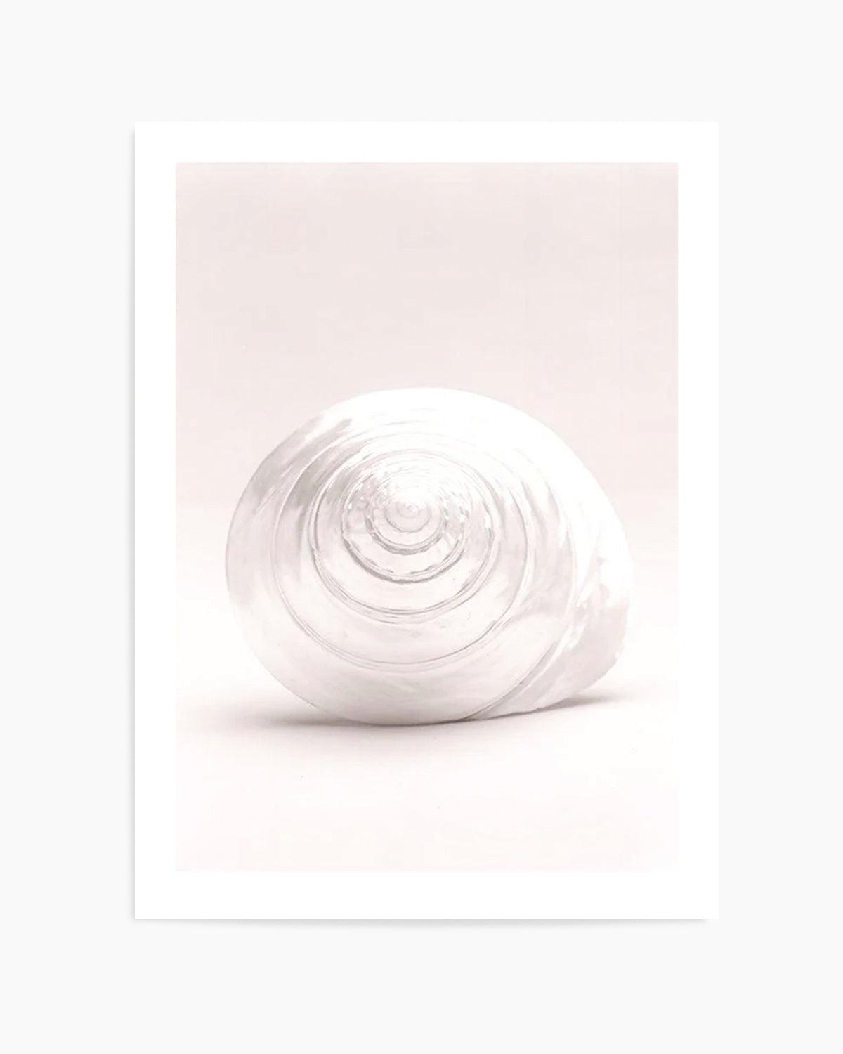 Shell I Art Print