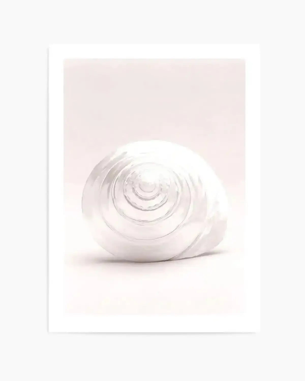 Shell I Art Print from Olive et Oriel where you can shop wallpaper and artworks online