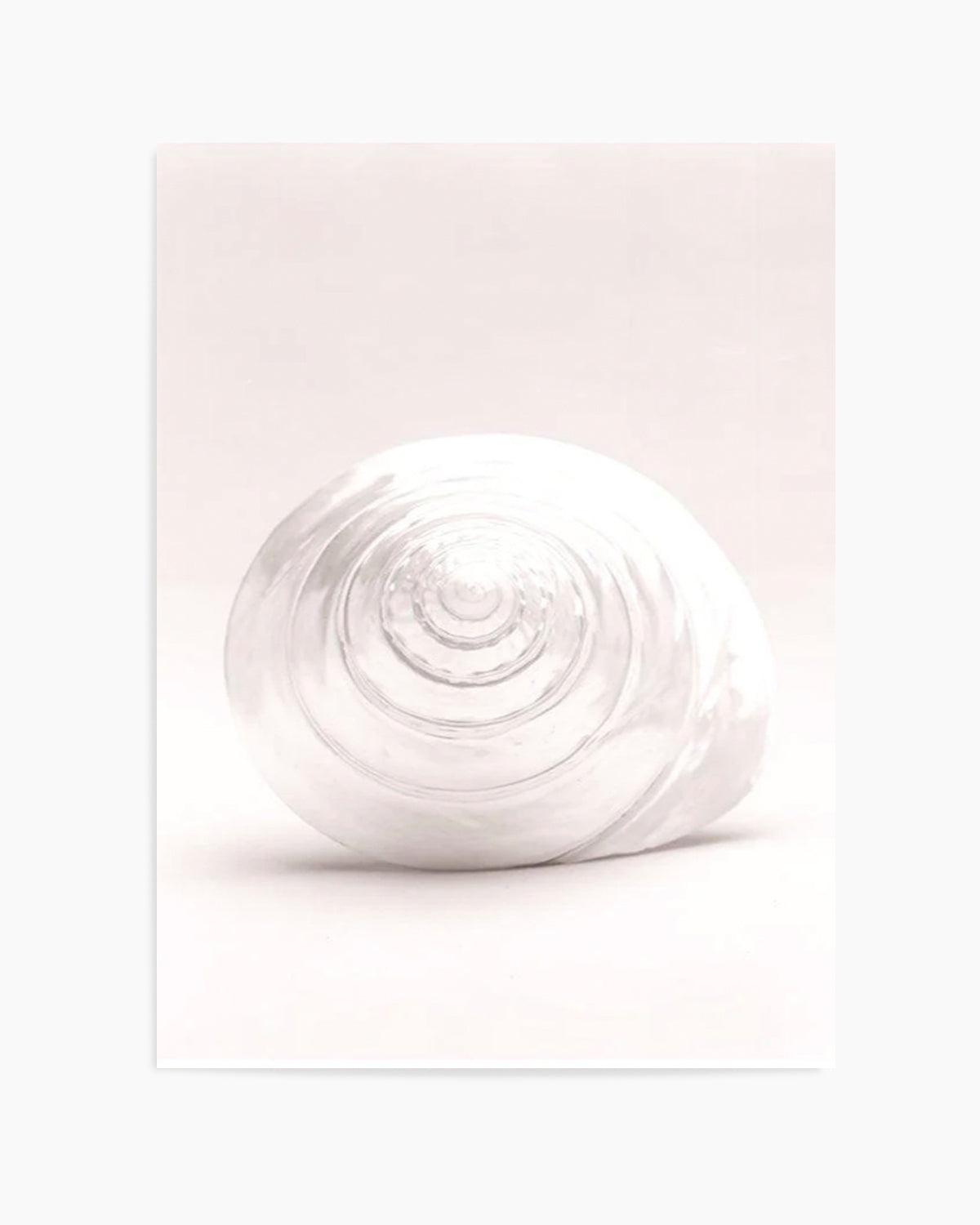 Shell I Art Print