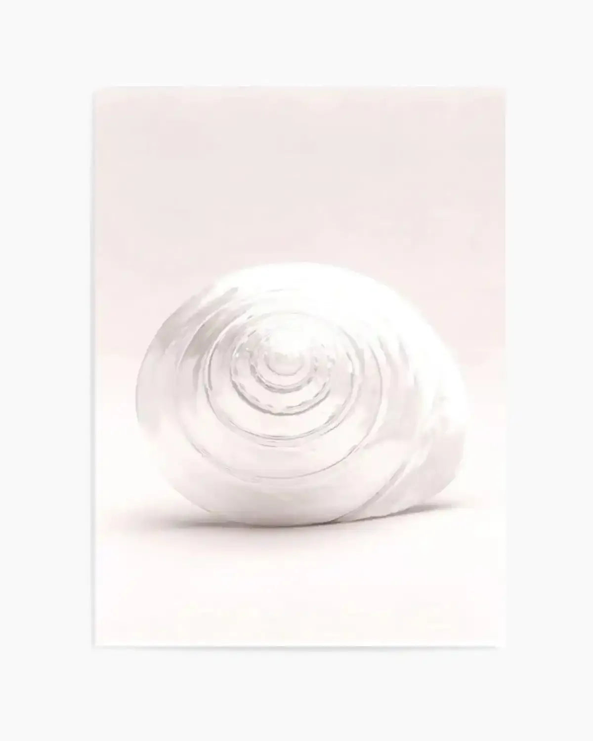 Shell I Art Print from Olive et Oriel where you can shop wallpaper and artworks online