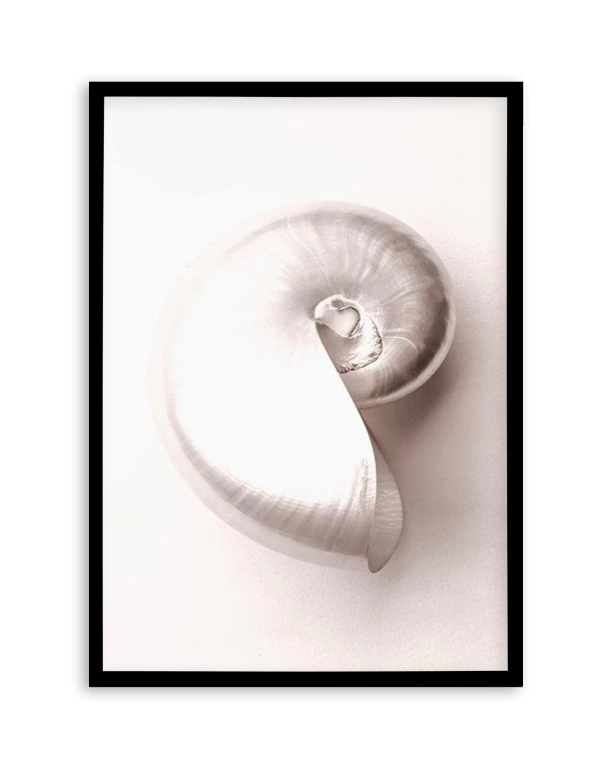 Shell II Art Print