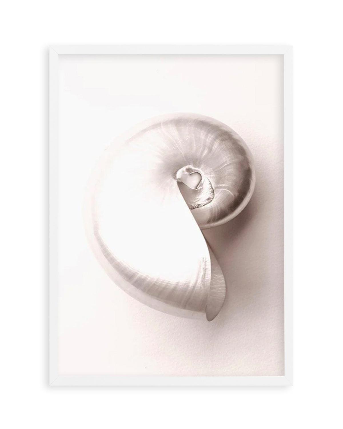 Shell II Art Print