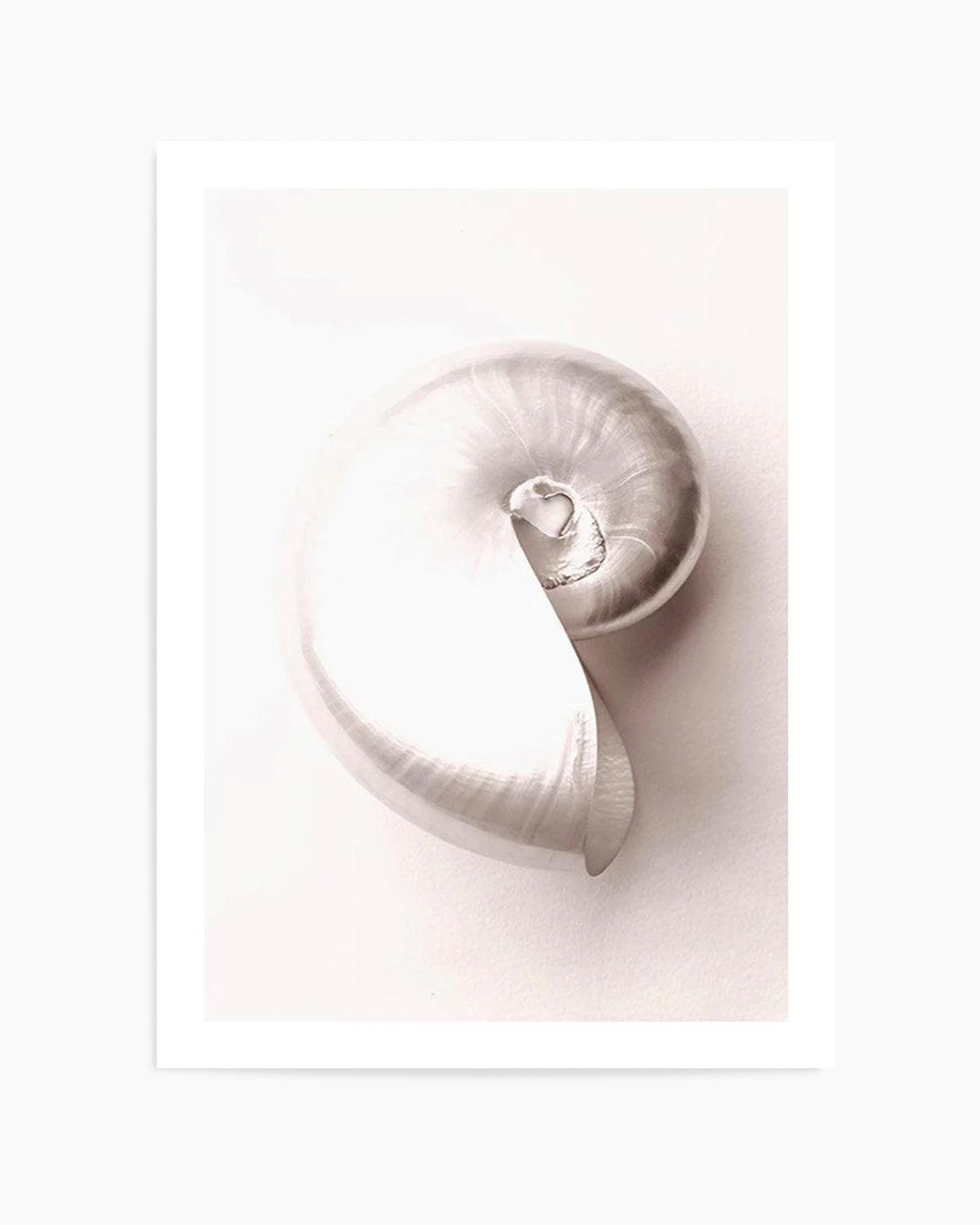 Shell II Art Print