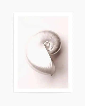 Shell II Art Print from Olive et Oriel where you can shop wallpaper and artworks online