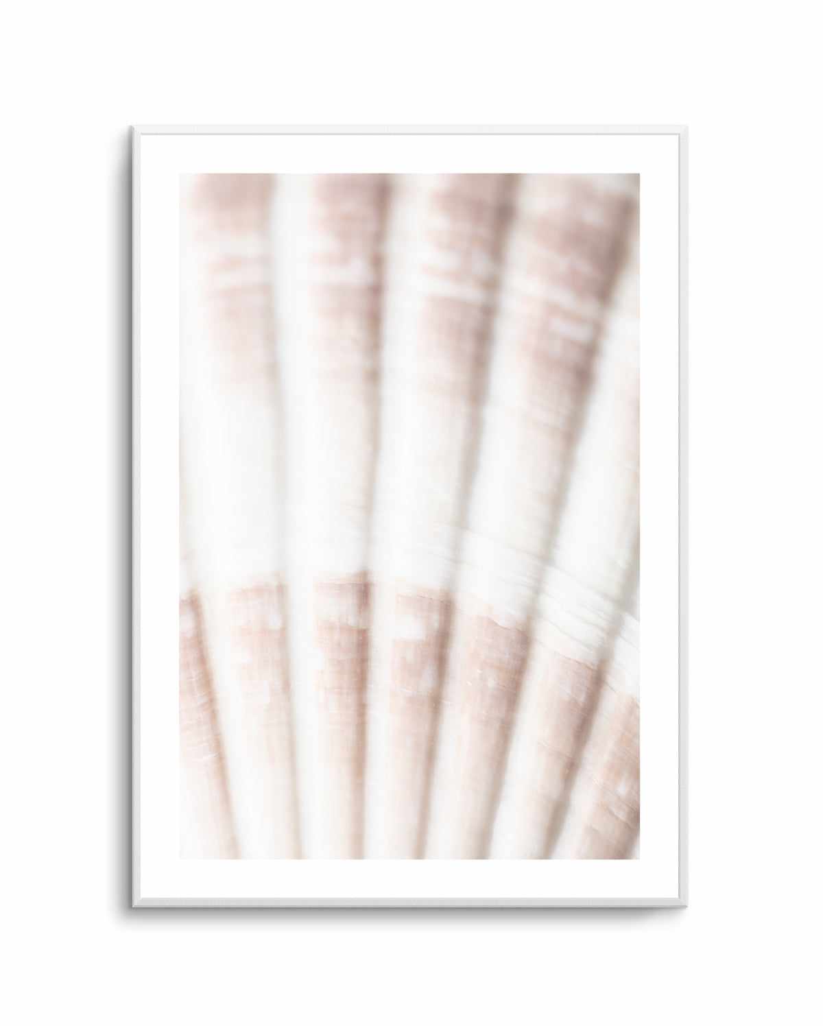 Shell II By Studio III | Art Print