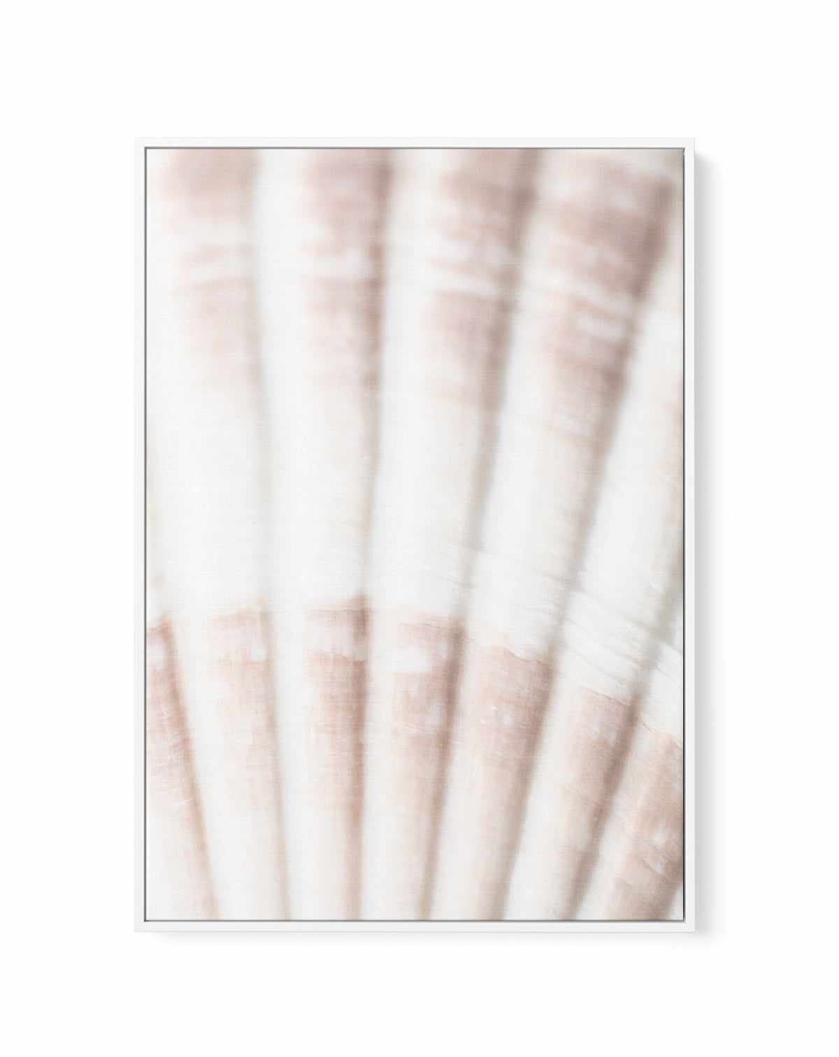 Shell II By Studio III | Framed Canvas Art Print