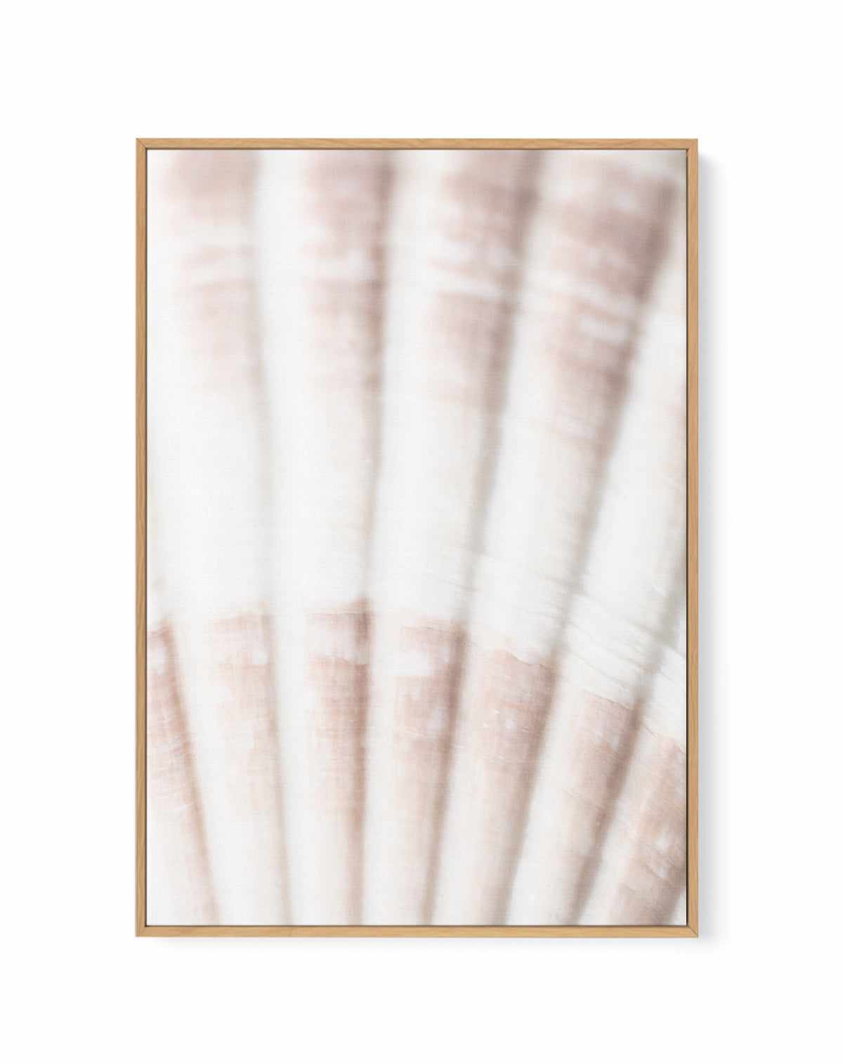 Shell II By Studio III | Framed Canvas Art Print