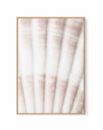 Shell II By Studio III | Framed Canvas Art Print from Olive et Oriel where you can shop wallpaper and artworks online