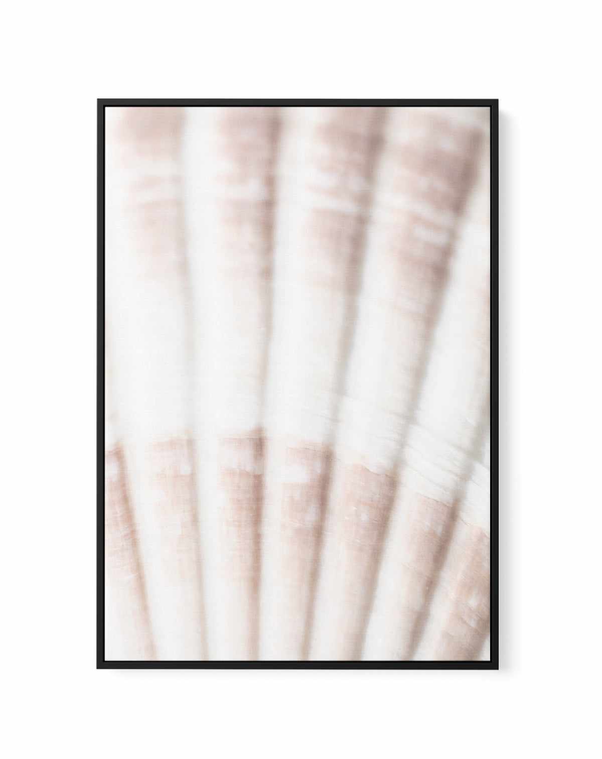 Shell II By Studio III | Framed Canvas Art Print