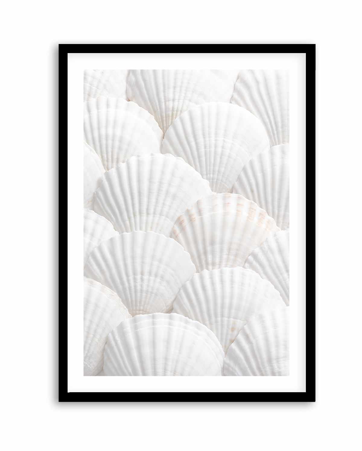 Shell III By Studio III | Art Print