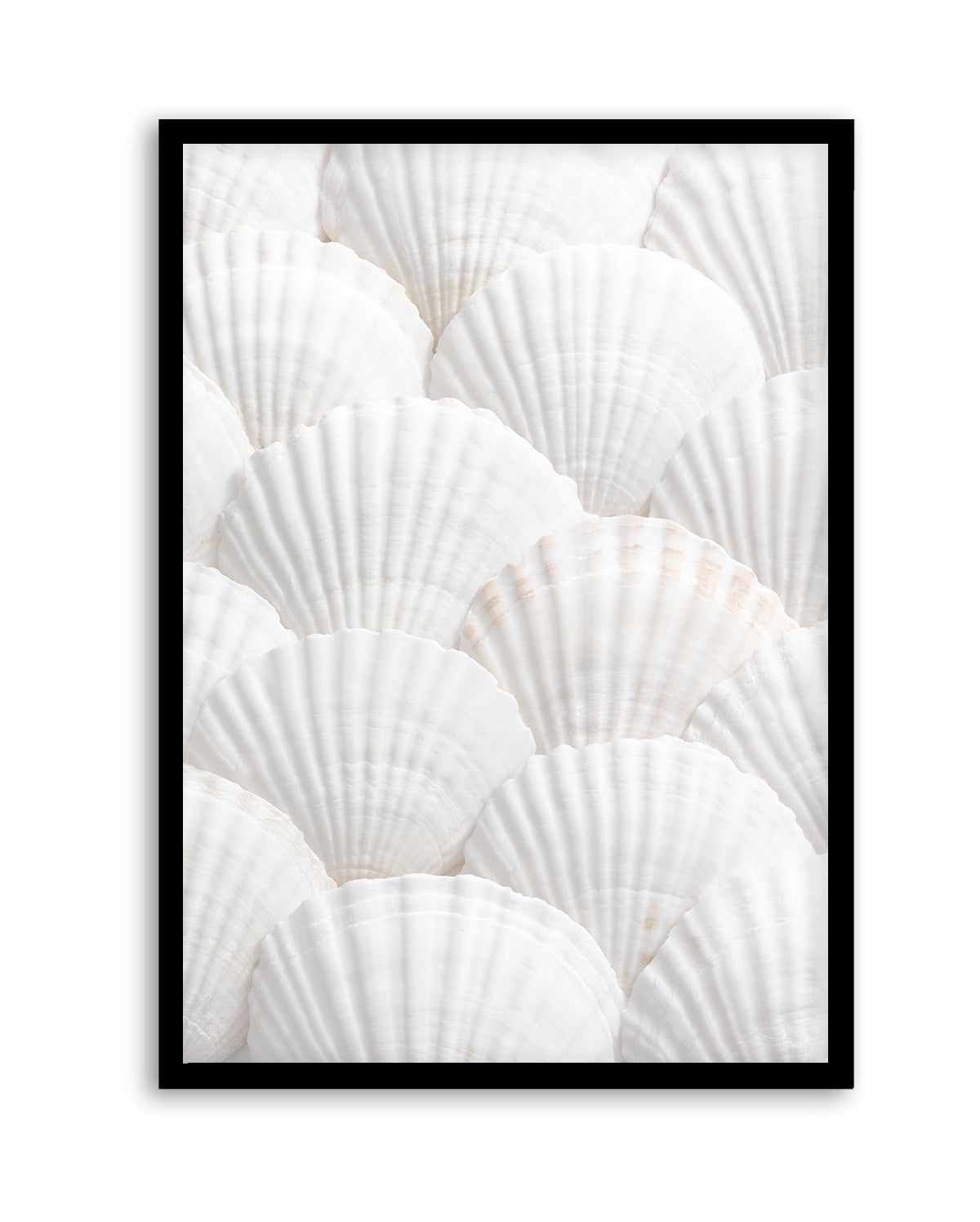 Shell III By Studio III | Art Print