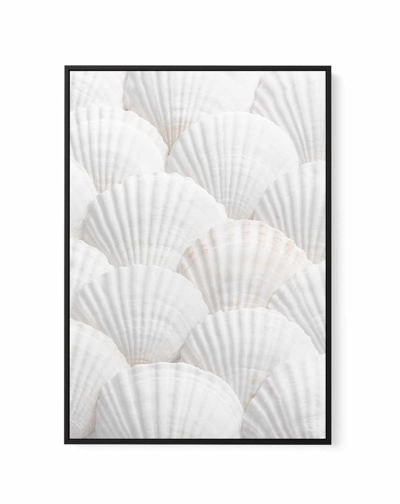 Shell III By Studio III | Framed Canvas Art Print