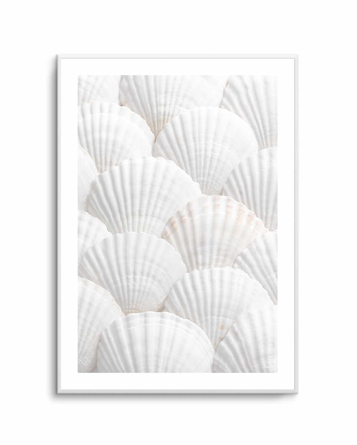 Shell III By Studio III | Art Print