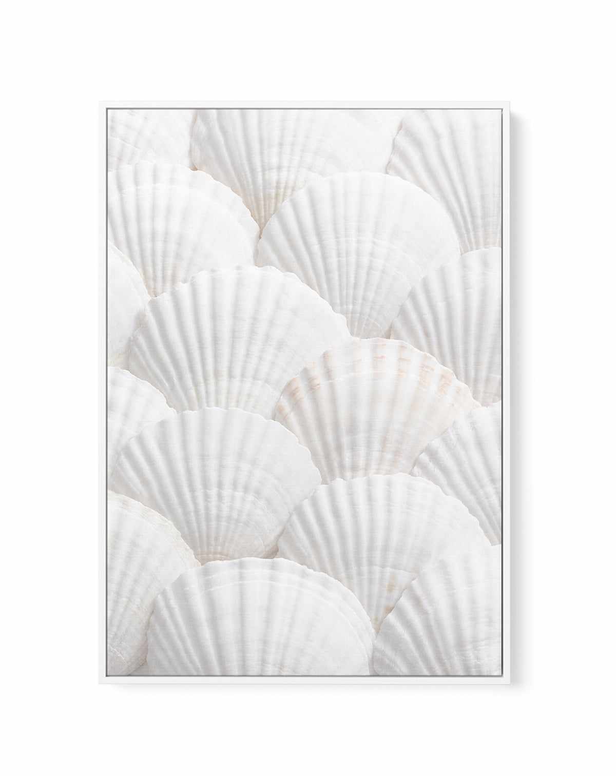 Shell III By Studio III | Framed Canvas Art Print