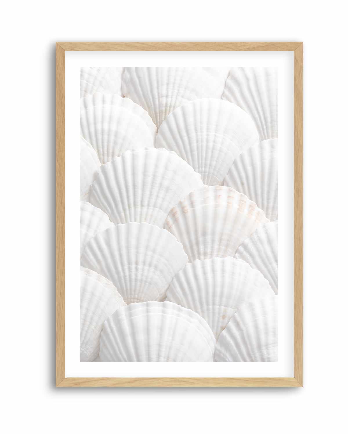 Shell III By Studio III | Art Print