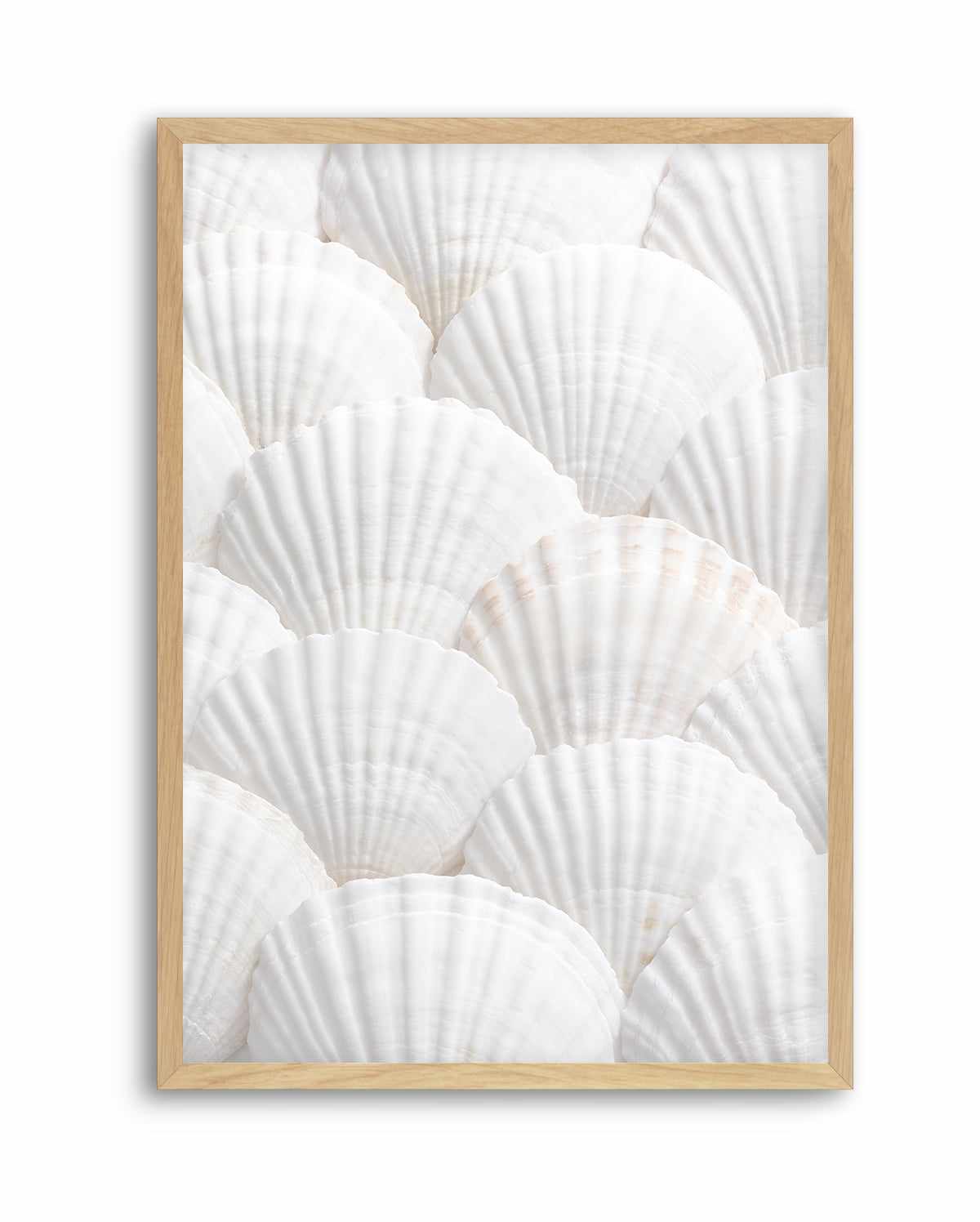 Shell III By Studio III | Art Print