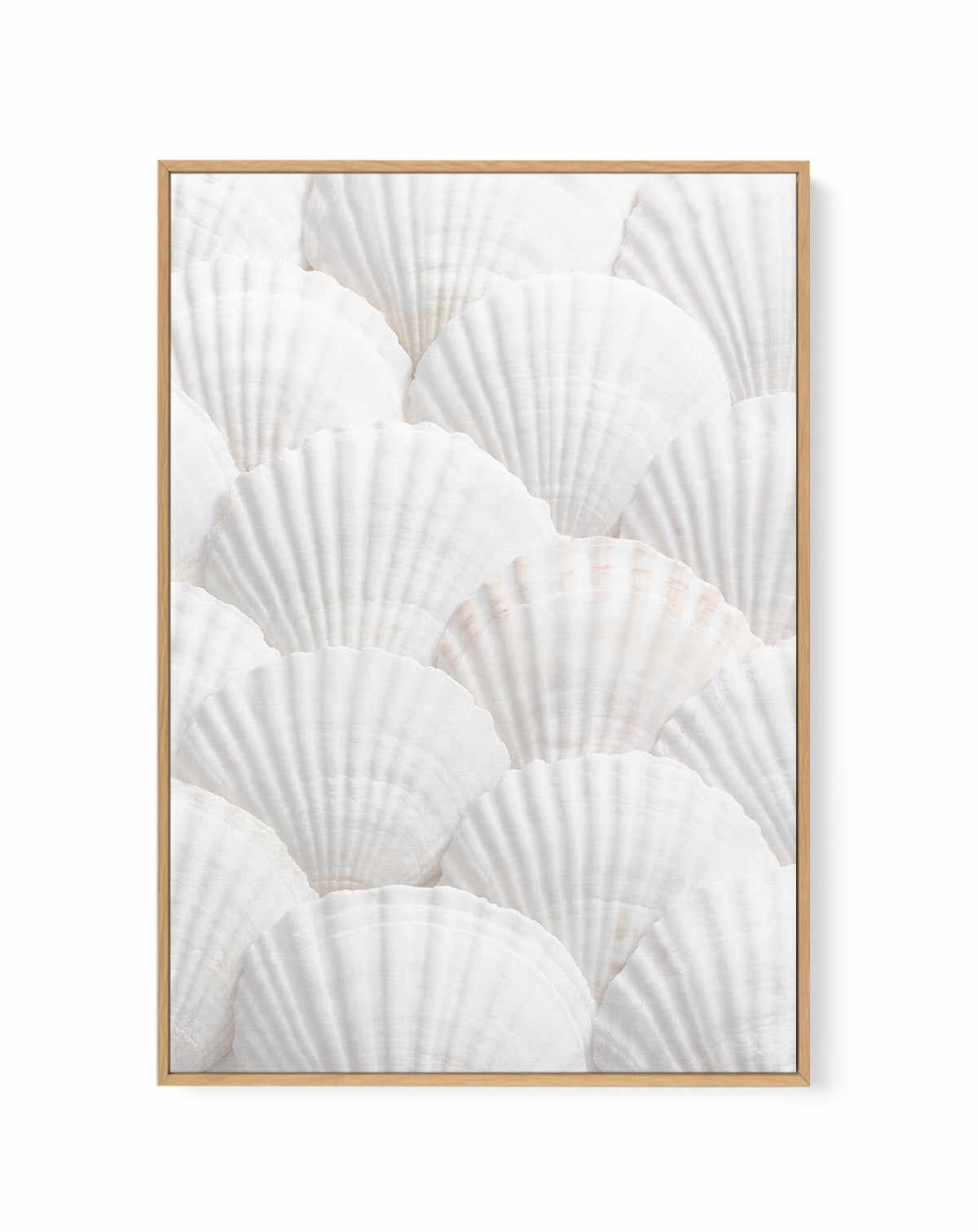 Shell III By Studio III | Framed Canvas Art Print