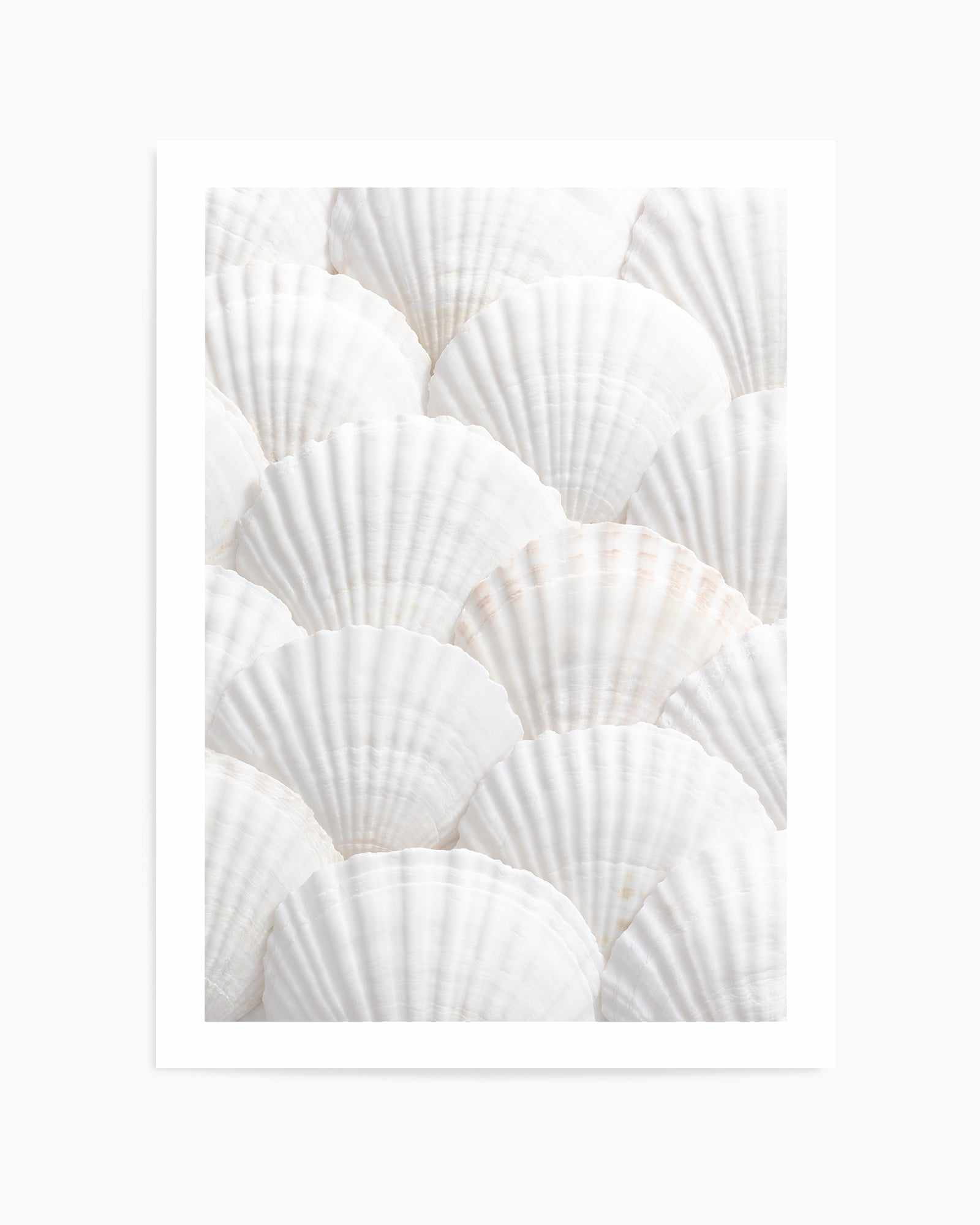 Shell III By Studio III | Art Print