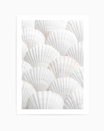 Shell III By Studio III | Art Print from Olive et Oriel where you can shop wallpaper and artworks online