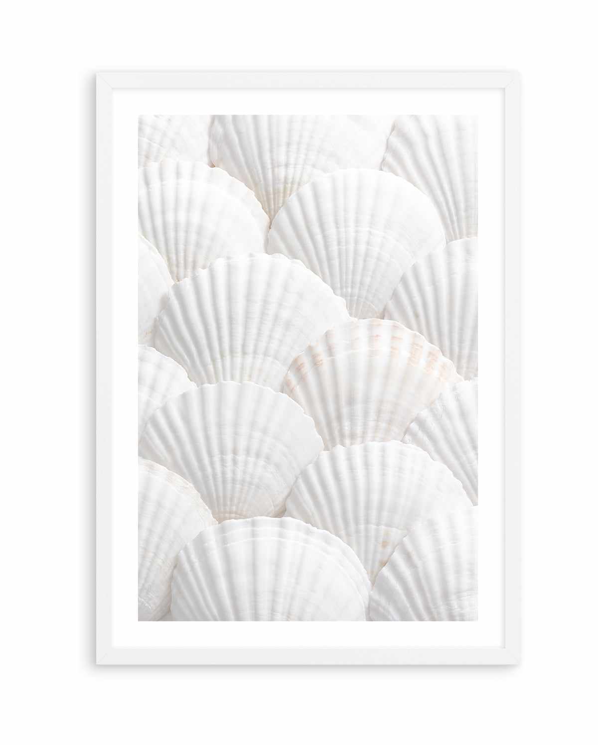 Shell III By Studio III | Art Print