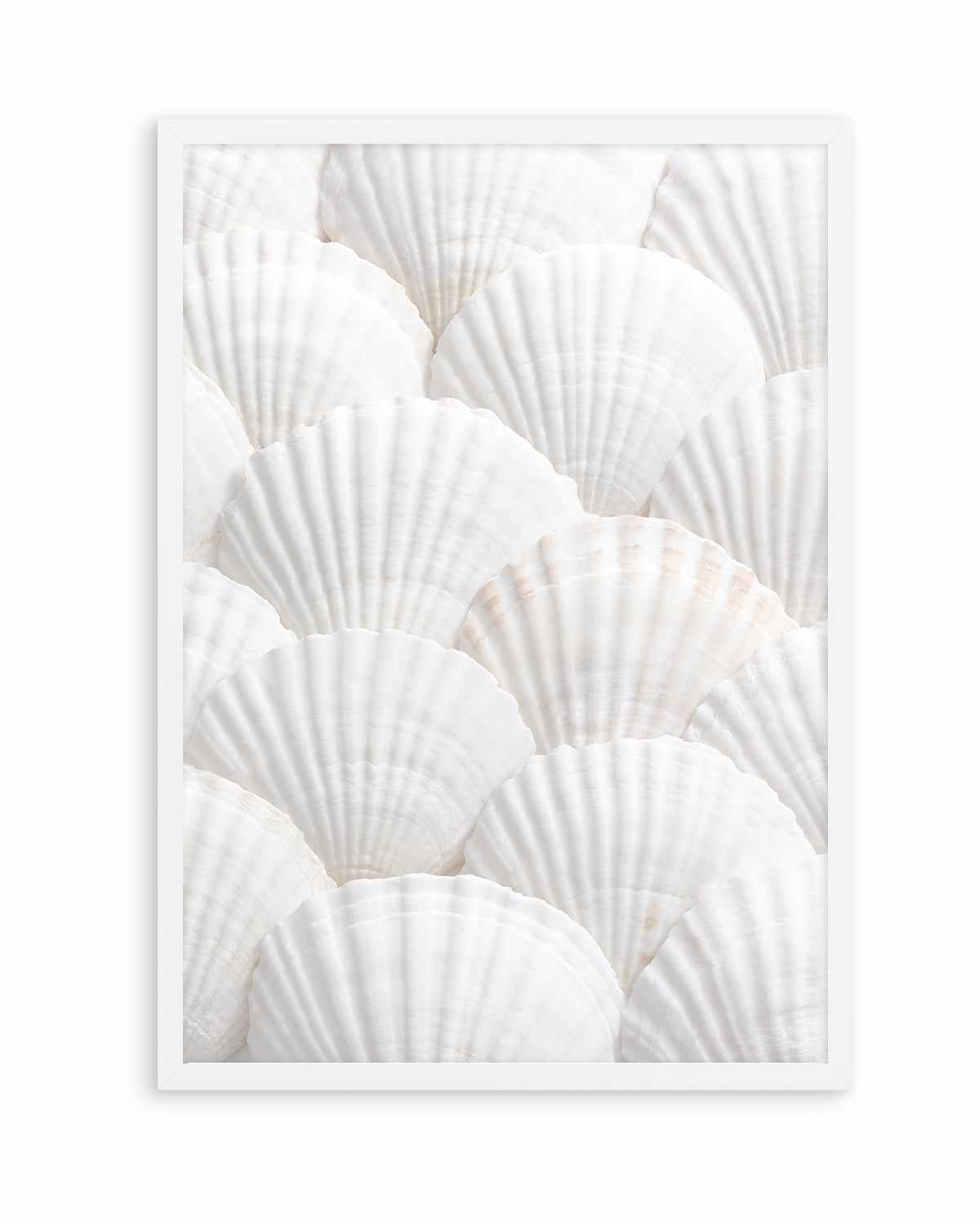 Shell III By Studio III | Art Print