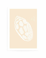 Shell White Beige by Anne Korako | Art Print