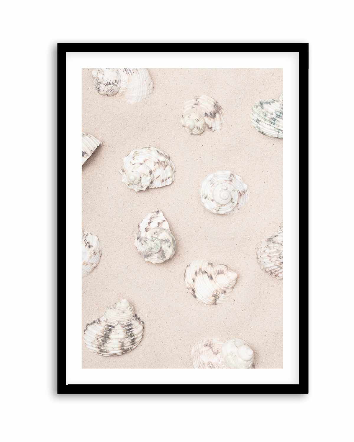 Shells 2 By Studio III | Art Print