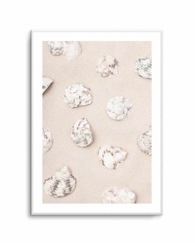 Shells 2 By Studio III | Art Print