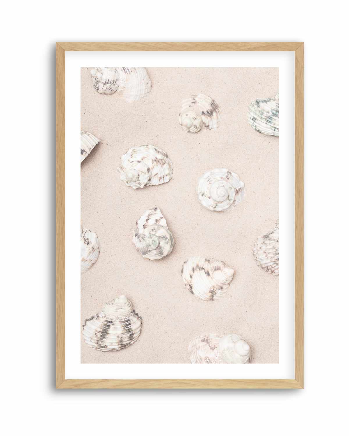 Shells 2 By Studio III | Art Print