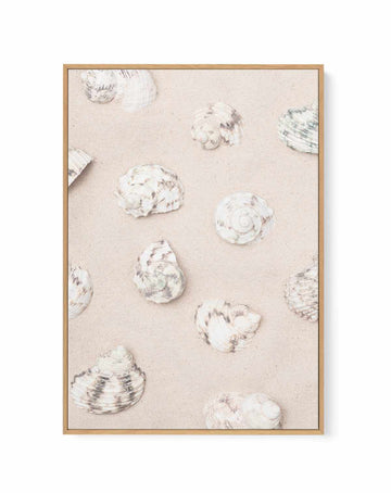 Shells 2 By Studio III | Framed Canvas Art Print from Olive et Oriel where you can shop wallpaper and artworks online