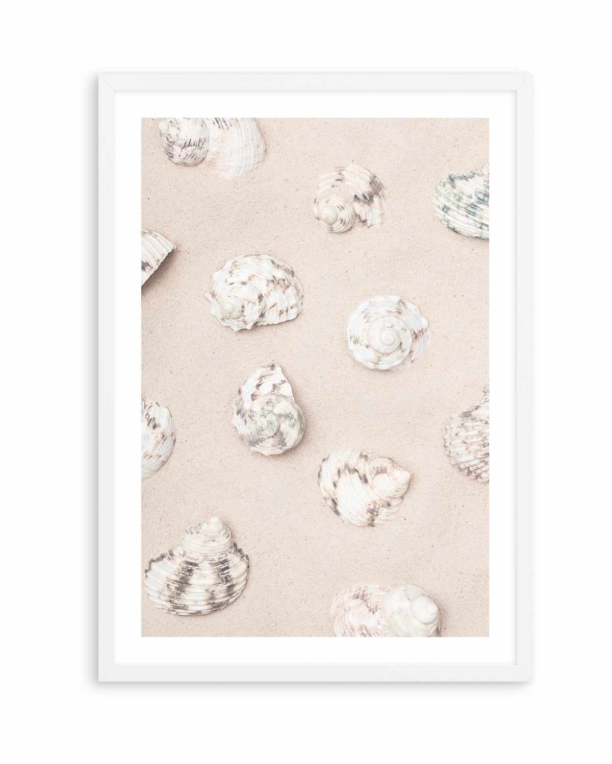 Shells 2 By Studio III | Art Print