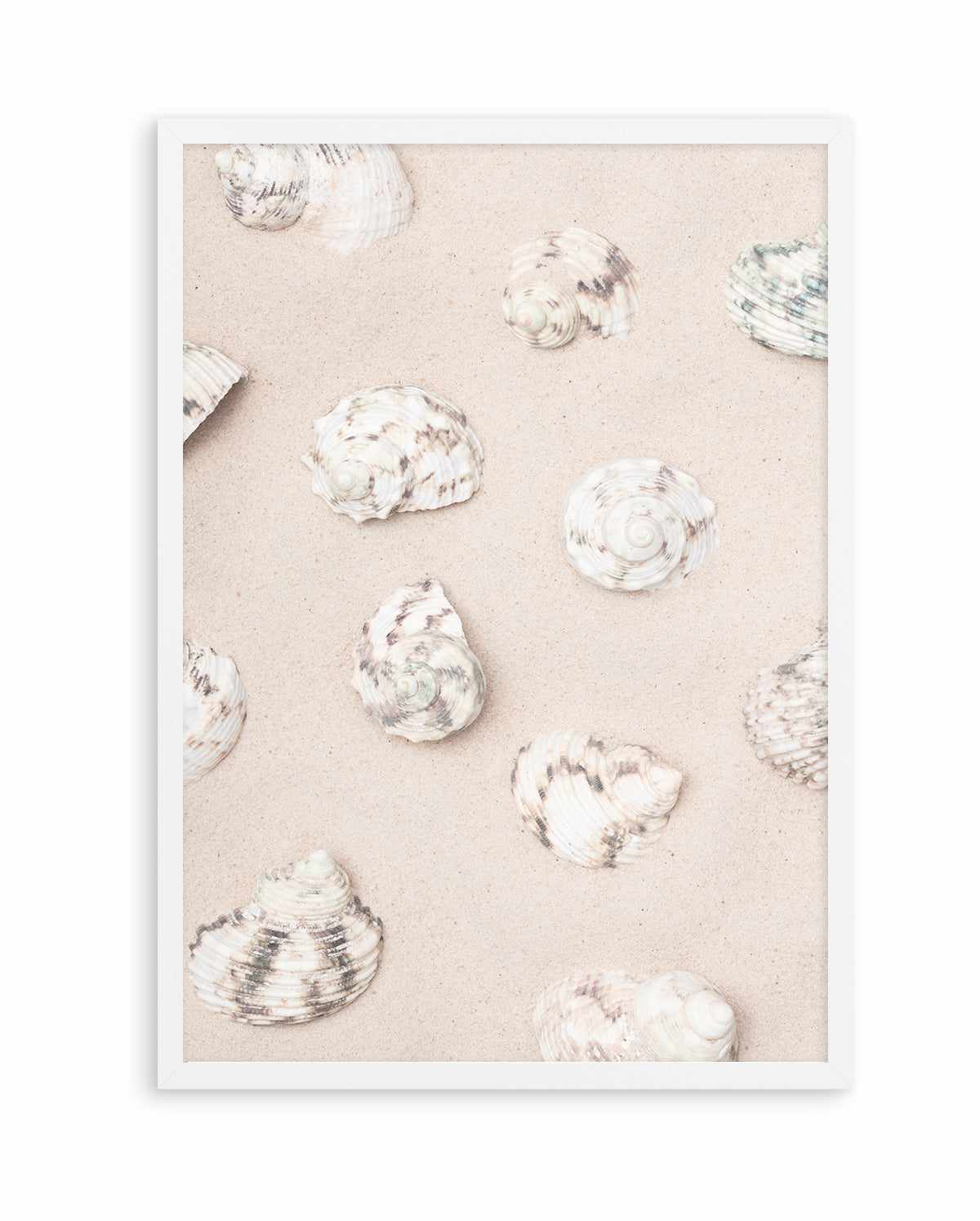 Shells 2 By Studio III | Art Print