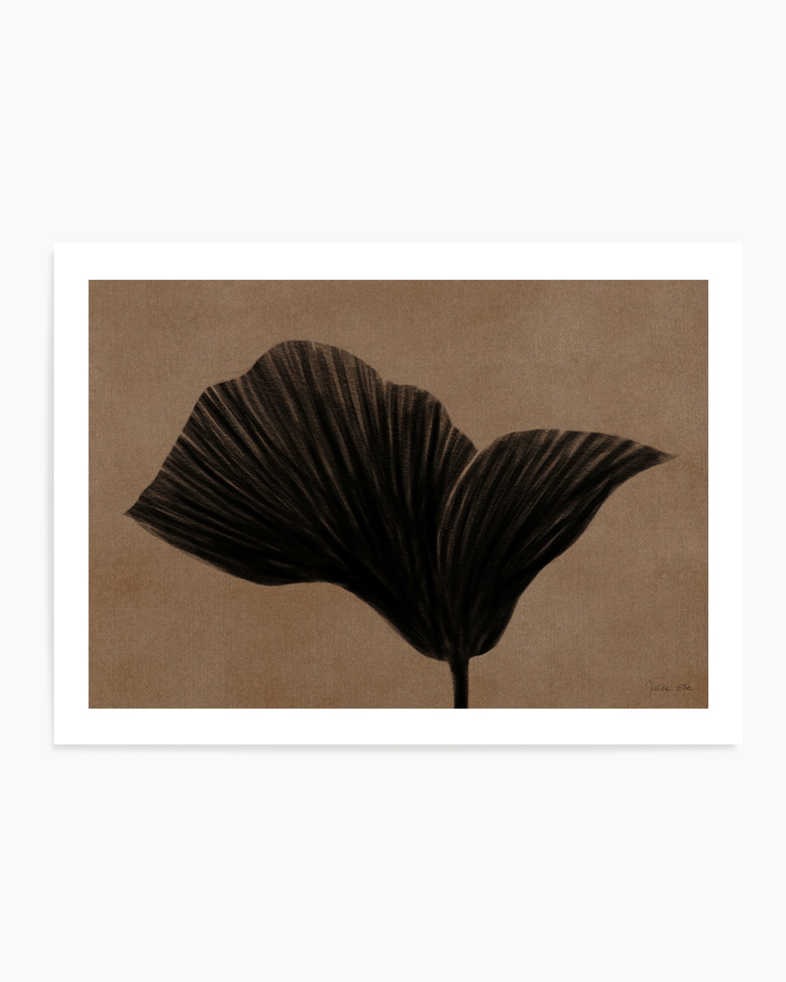 Silent Flower by Julita Elbe | Art Print