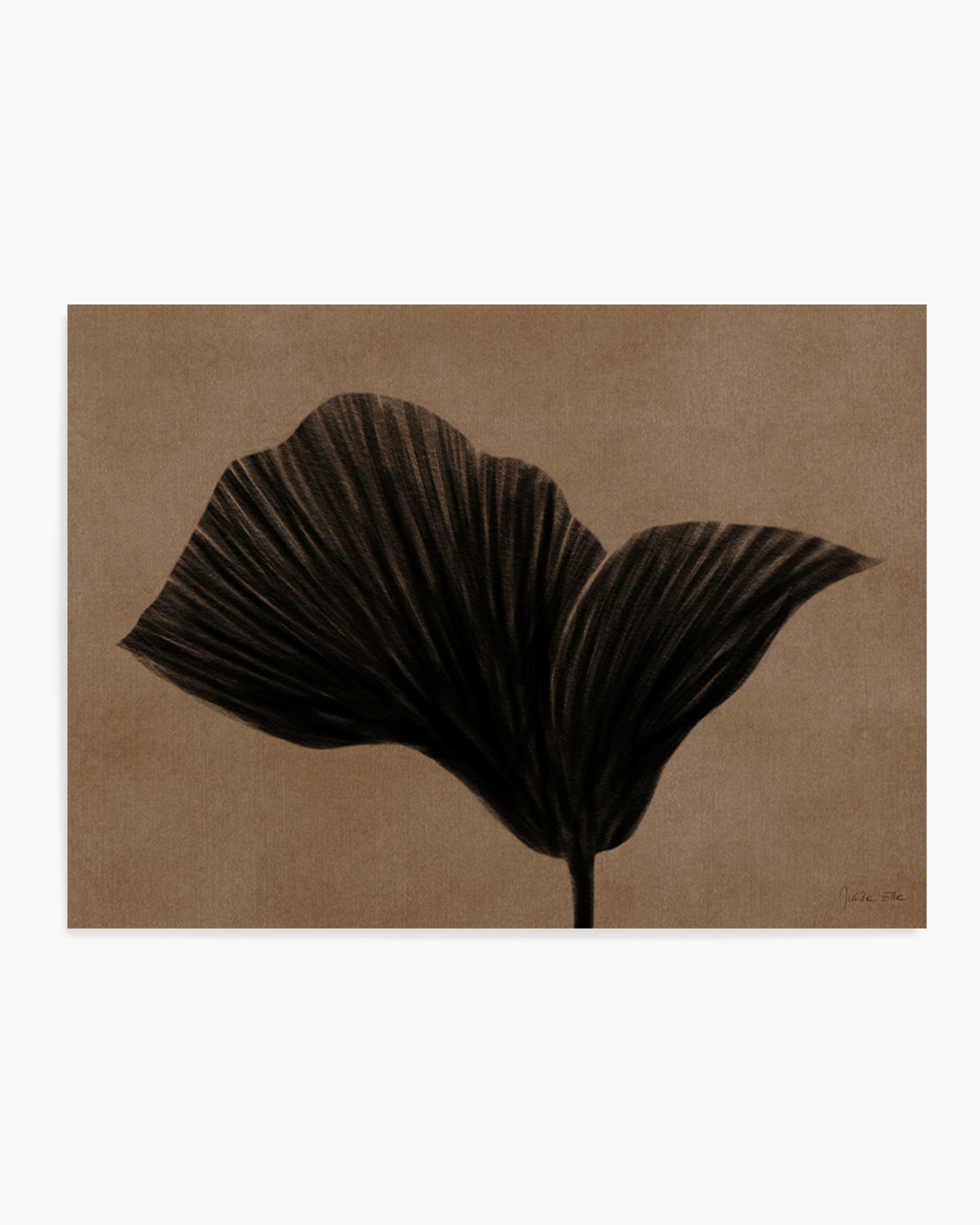 Silent Flower by Julita Elbe | Art Print