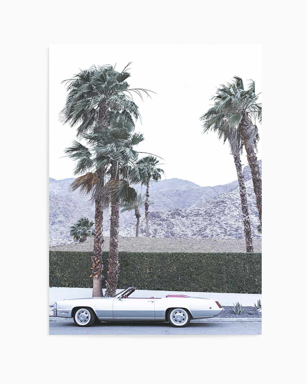 Silver Cadillac, Palm Springs Art Print