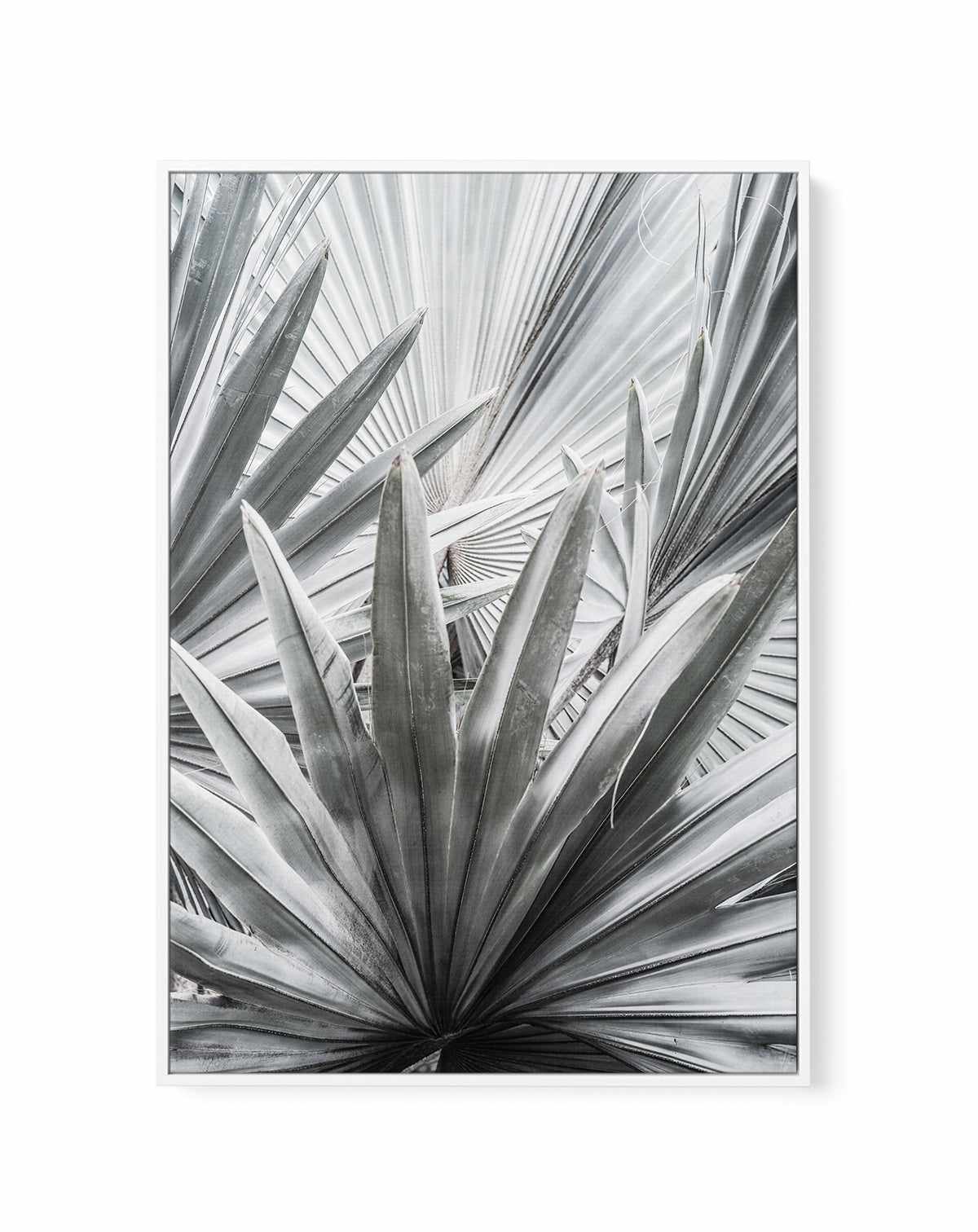 Silver Spray By Clint | Framed Canvas Art Print