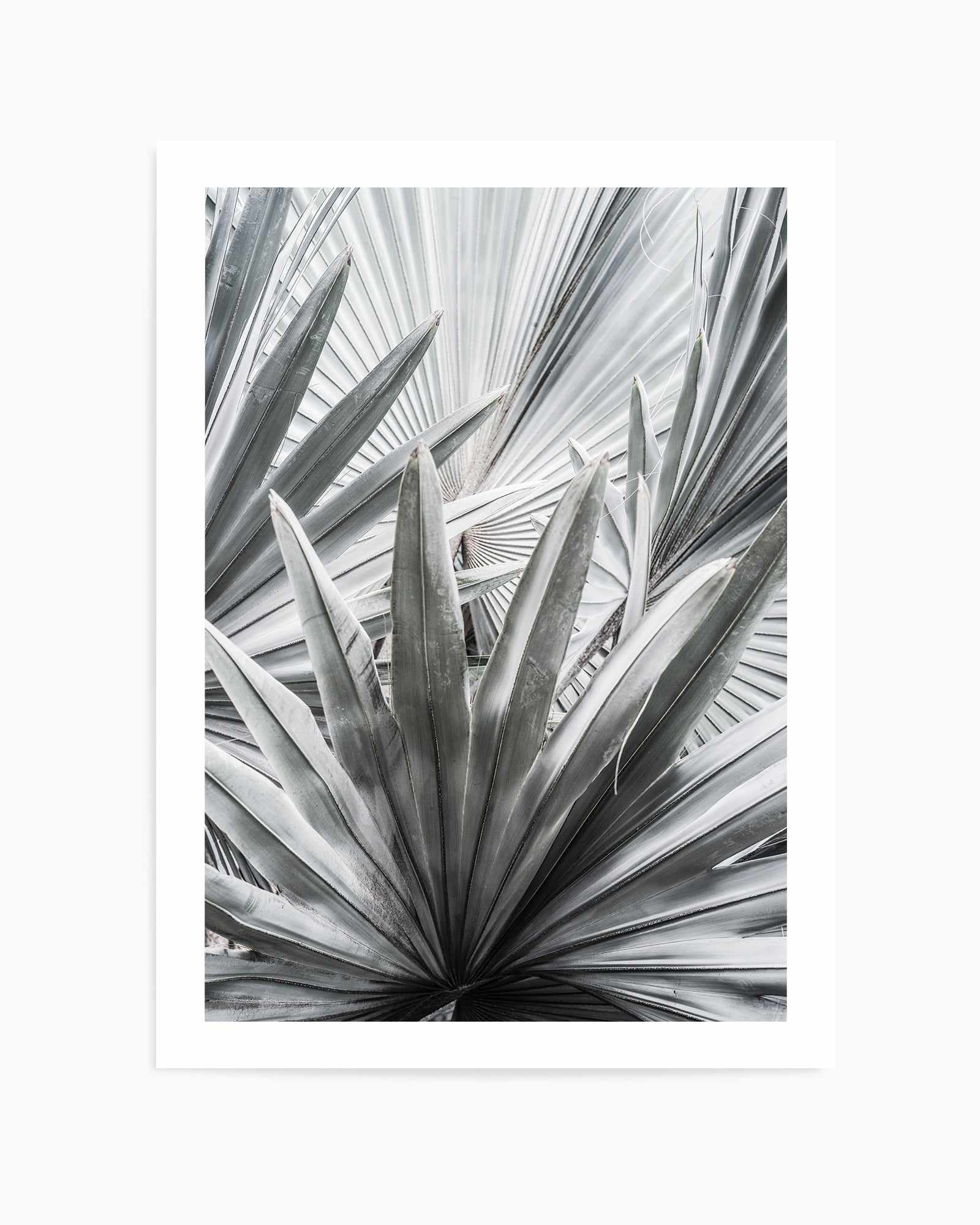 Silver Spray By Clint | Art Print from Olive et Oriel where you can shop wallpaper and artworks online