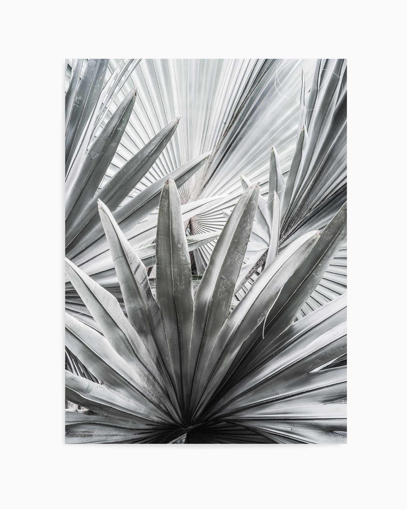 Silver Spray By Clint | Art Print from Olive et Oriel where you can shop wallpaper and artworks online