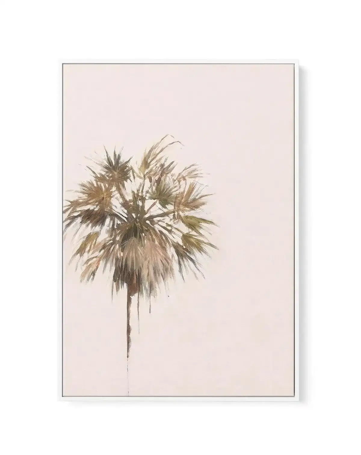 Simply Palm by Natalie Jane | Framed Canvas-CANVAS-You can shop wall art online with Olive et Oriel for everything from abstract art to fun kids wall art. Our beautiful modern art prints and canvas art are available from large canvas prints to wall art paintings and our proudly Australian artwork collection offers only the highest quality framed large wall art and canvas art Australia - You can buy fashion photography prints or Hampton print posters and paintings on canvas from Olive et Oriel an
