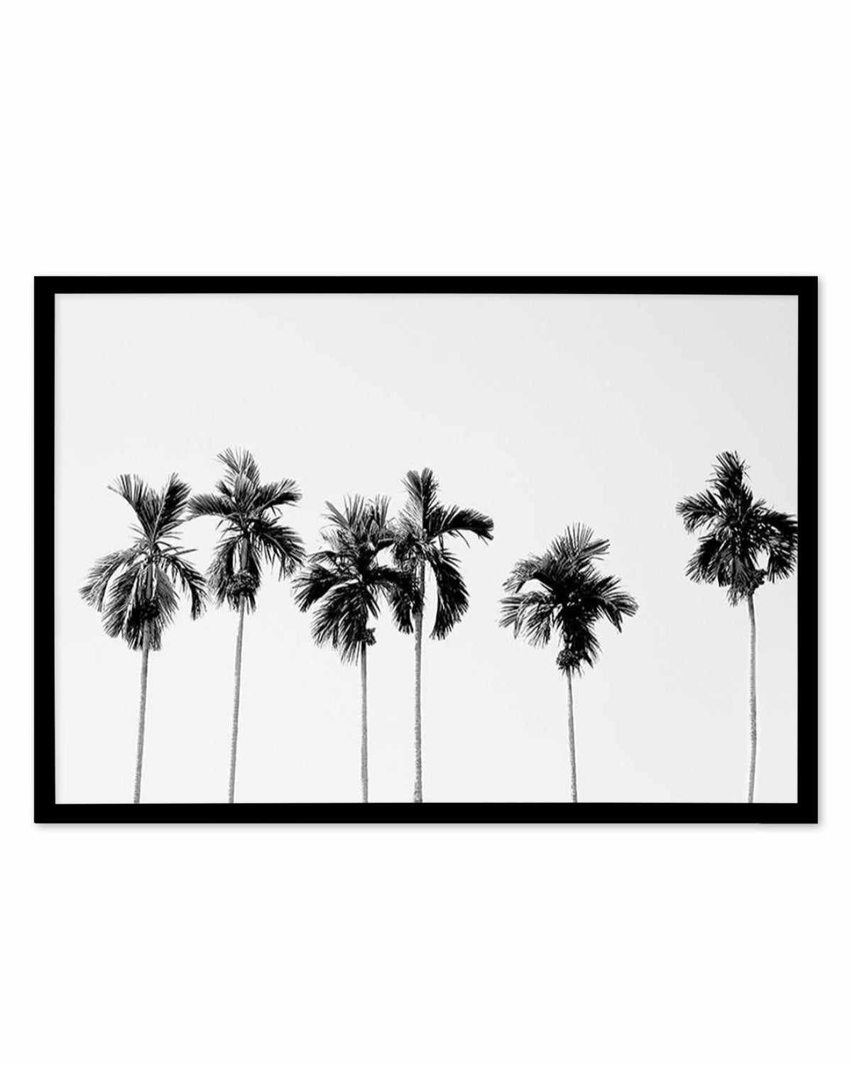 Six Palms Art Print