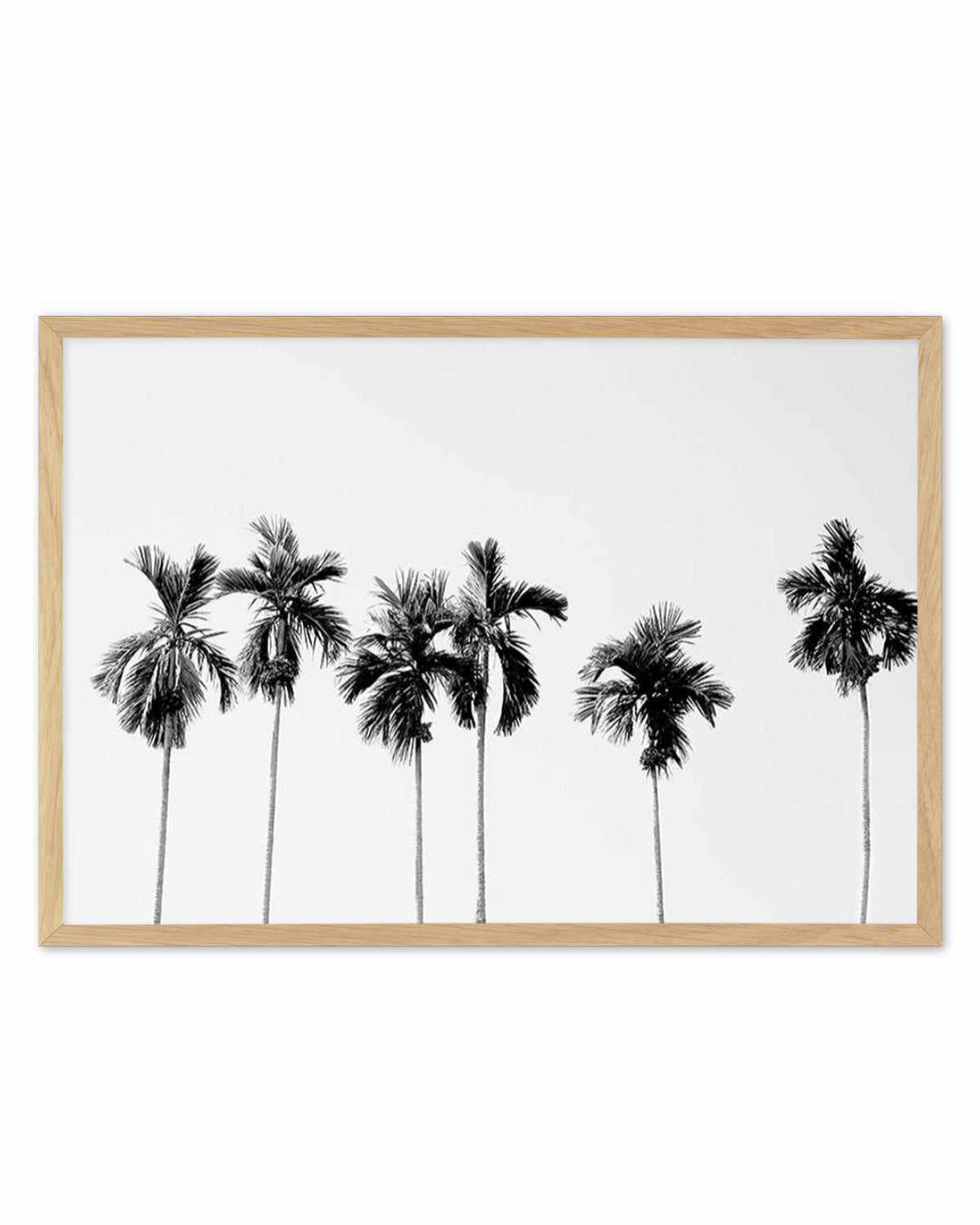 Six Palms Art Print