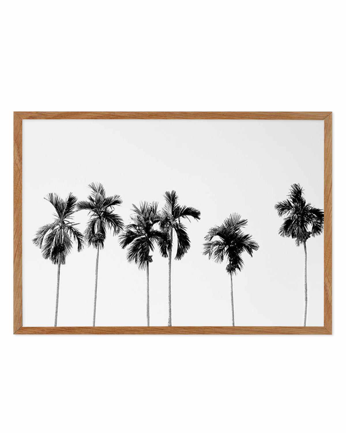 Six Palms Art Print