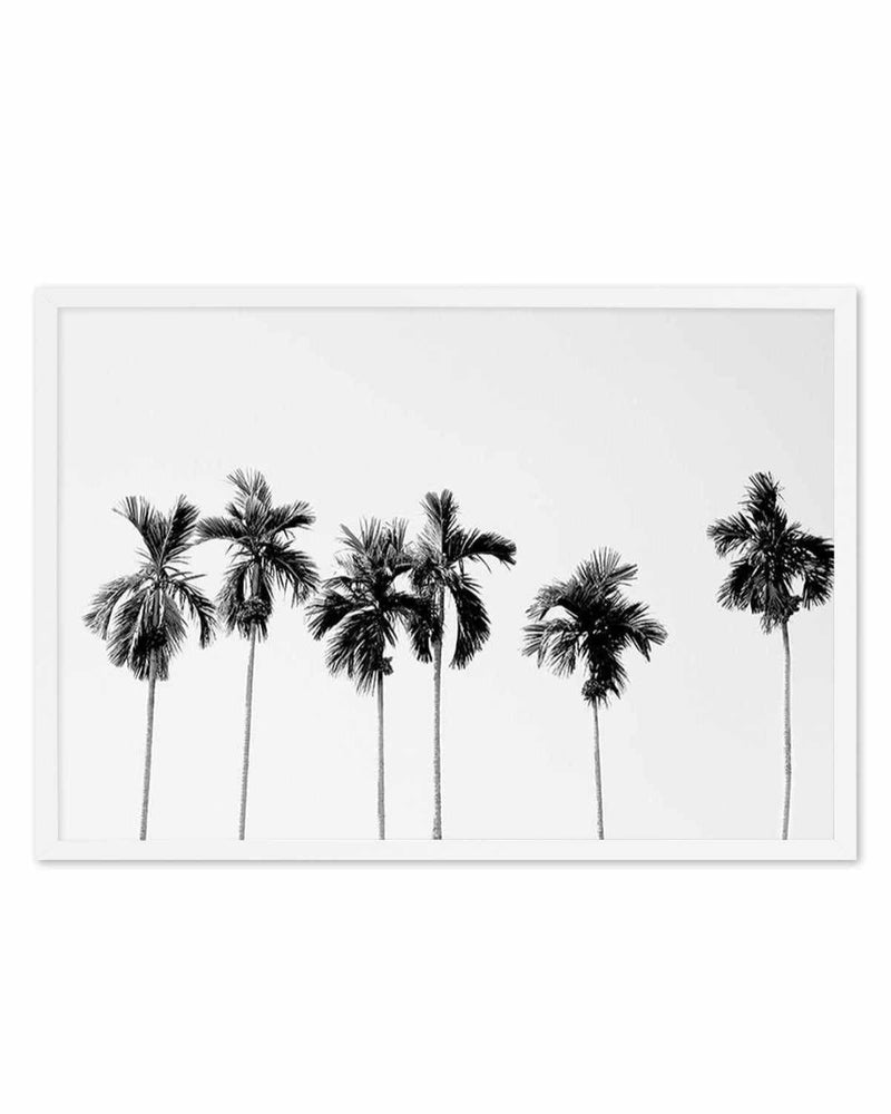 Six Palms Art Print