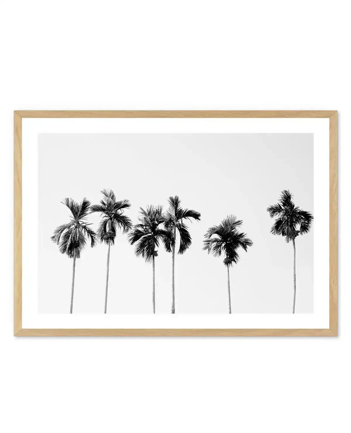 Six Palms Art Print-PRINT-Olive et Oriel-Olive et Oriel-A5 | 5.8" x 8.3" | 14.8 x 21cm-Oak-With White Border-Buy-Australian-Art-Prints-Online-with-Olive-et-Oriel-Your-Artwork-Specialists-Austrailia-Decorate-With-Coastal-Photo-Wall-Art-Prints-From-Our-Beach-House-Artwork-Collection-Fine-Poster-and-Framed-Artwork