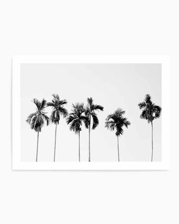 Framed black and white photograph of six palm trees against a bright white sky, with a natural wood frame and white border. The palm trees are silhouetted, showcasing their fronds and slender trunks, with varying heights and spacing across the horizontal composition.